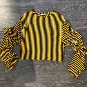 ZARA puff long sleeve fashion top